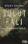 Bulut Falı